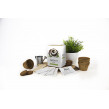 Odlingskit Kaffe